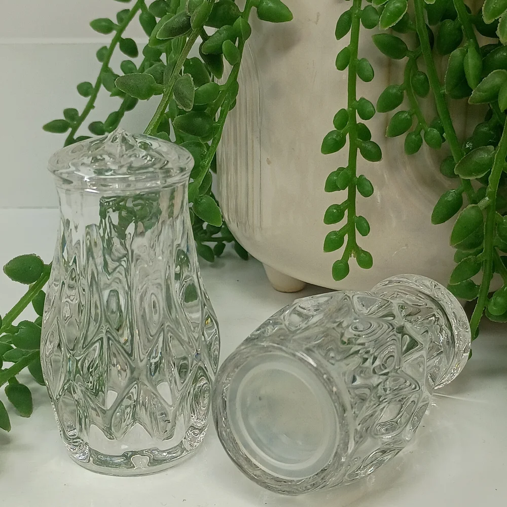 Elegant Crystal Clear Glass Salt and Pepper Shakers
